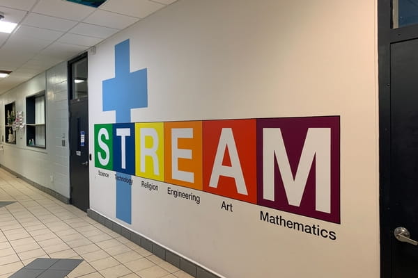 Stream wall